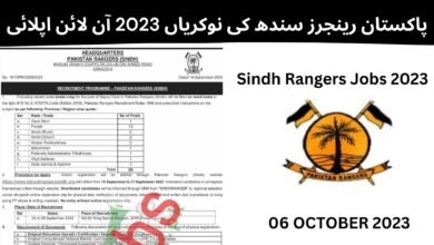 پاکستان رینجرز سندھ کی نوکریاں 2023 آن لائن اپلائی - Sindh Rangers Jobs 2023