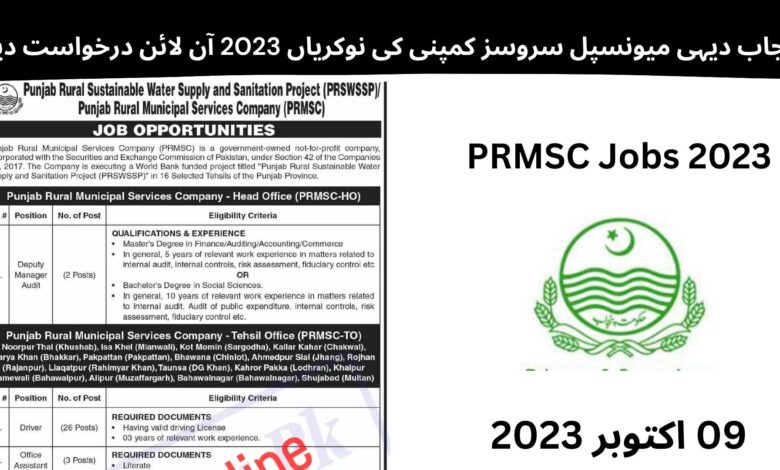 پنجاب دیہی میونسپل سروسز کمپنی کی نوکریاں 2023 آن لائن درخواست دیں