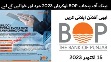 بینک آف پنجاب BOP نوکریاں 2023 مرد اور خواتین کے لیے: ابھی آنلائن اپلائی کریں