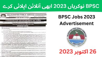 BPSC نوکریاں 2023 ابھی آنلائن اپلائی کرے