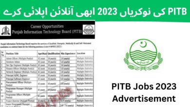 PITB کی نوکریاں 2023 آن لائن اپلائی کریں - پنجاب آئی ٹی بورڈ میں سرکاری نوکریاں