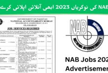  نیشنل اکاؤنٹبلٹی بیورو جابز 2023 ان لائن اپلائی - (NAB Jobs 2023)