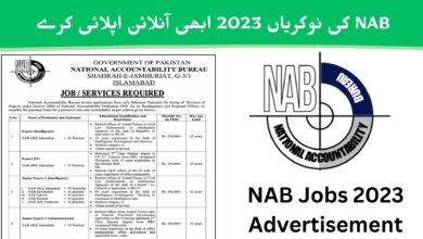  نیشنل اکاؤنٹبلٹی بیورو جابز 2023 ان لائن اپلائی - (NAB Jobs 2023)