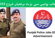 پنجاب پولیس کی نوکریاں 2023 آن لائن اپلائی کریں ۔ Punjab Police Jobs 2023