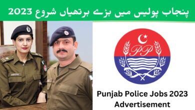 پنجاب پولیس کی نوکریاں 2023 آن لائن اپلائی کریں ۔ Punjab Police Jobs 2023